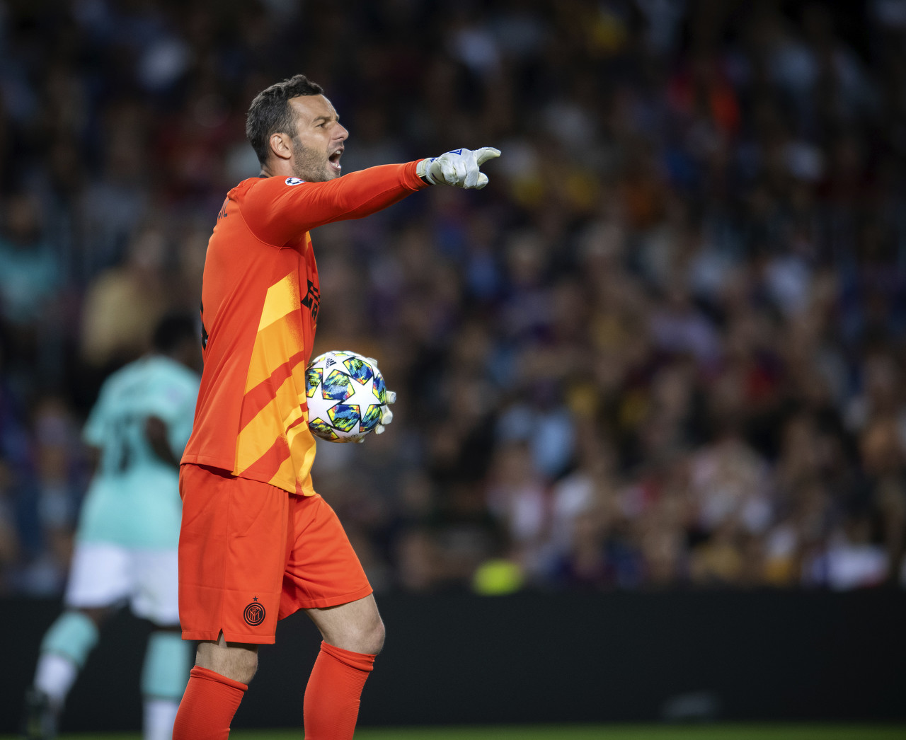 据史料与家 据史料与家